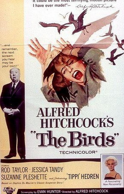 새. The Birds (히치콕 감독) 앨범 표지