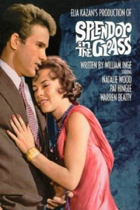 초원의 빛. Splendor in the Grass (웨렌 비티, 나탈리 우드)