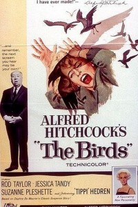새. The Birds (히치콕 감독)